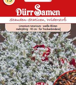 Лимониум (Limonium tataricum)