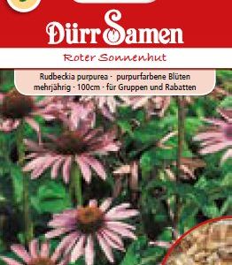 Ехинацея Ротер (Echinacea purpurea)