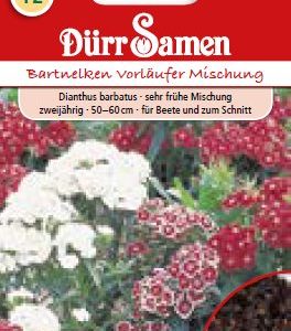 Карамфил Уилямс (Dianthus barbatus) – микс