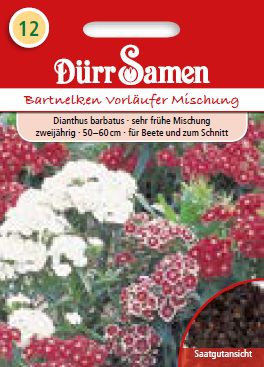Карамфил Уилямс (Dianthus barbatus) – микс