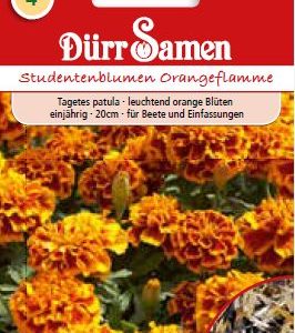 Тагетес Оранжев пламък (Tagetes patula)