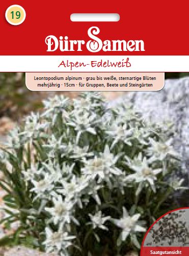 Леонтоподиум Алпийски еделвайс (Leontopodium alpinum)
