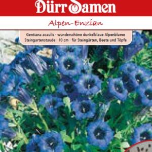 Тинтява (Gentiana acaulis)
