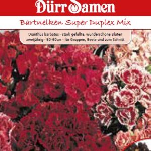 Карамфил Супер дуплекс (Dianthus barbatus)
