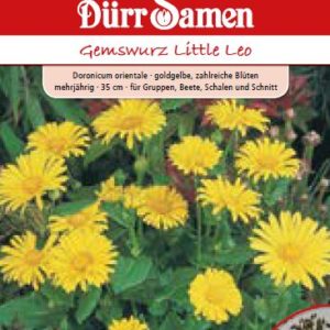 Дороникум Лео (Doronicum orientale)
