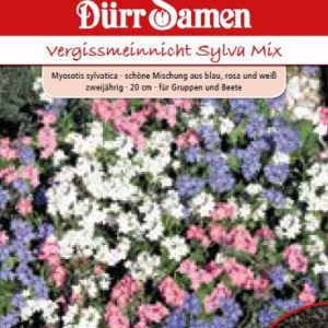 Миозотис Незабравка Силва (Myosotis sylvatica)