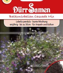 Лобелия Каскада (Lobelia erinus) – колоритен микс