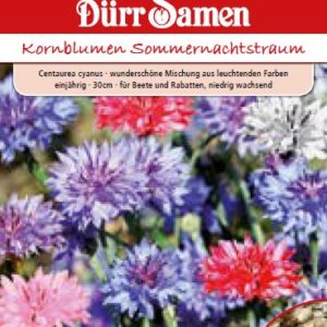 Центаурея Сън в лятна нощ (Centaurea cyanus)