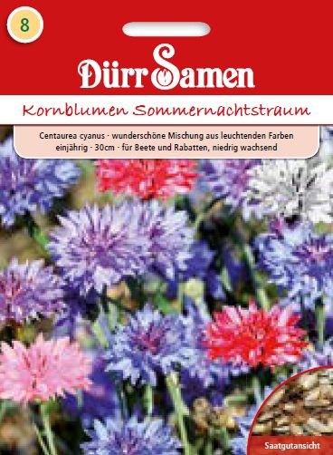 Центаурея Сън в лятна нощ (Centaurea cyanus)