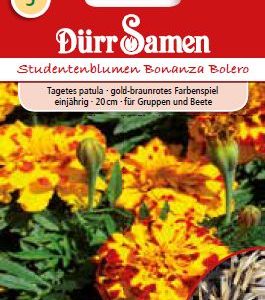 Тагетес Бонанза (Tagetes patula)