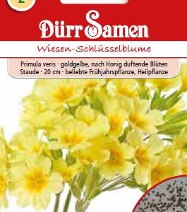 Иглика (Primula veris)