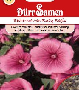 Леватера (Lavatera trimestris) – тъмно розова