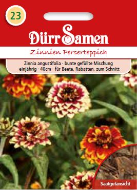 Циния Персертепич (Zinnia angustifolia) – микс