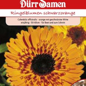 Невен Принцес (Calendula officinalis)