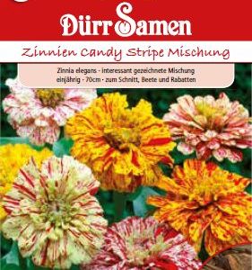 Циния Канди (Zinnia elegans) – микс