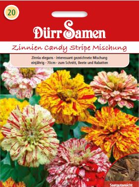 Циния Канди (Zinnia elegans) – микс