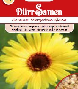 Маргаритки Глория (Chrysanthemum segetum)