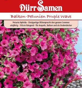 Петуния F1 (Petunia hybrida)