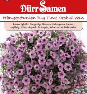 Петуния F1 (Petunia hybrida)