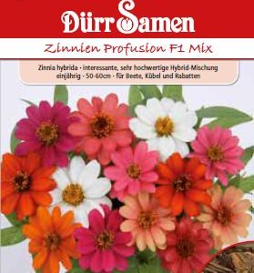Циния Профузион (Zinnia hybrida) – микс