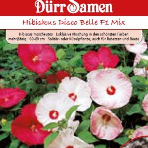 Хибискус Беле F1 (Hibiscus moscheotus) – микс