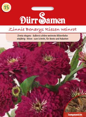Циния Бенарис (Zinnia elegans)