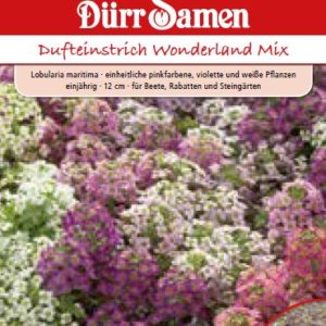 Лобулария (Lobularia maritima) – микс