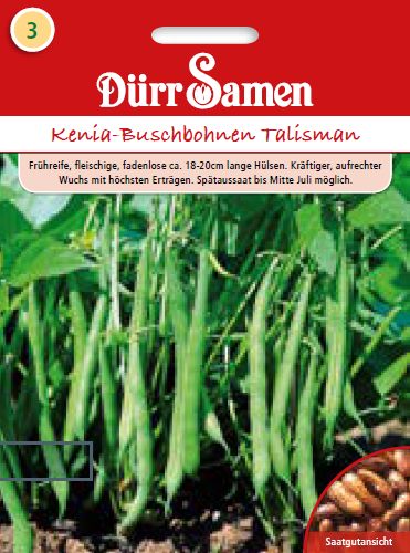 Зелен фасул Талисман