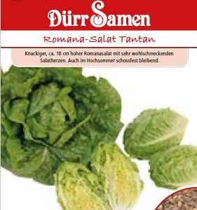 Салата Тантан