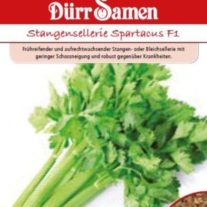 Целина Спартакус F1