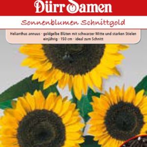 Слънчоглед Шнитголд (Helianthus annuus)