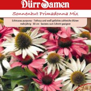 Ехинацея Примадона (Echinacea purpurea)