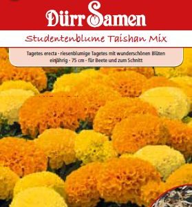 Тагетес Тайшан (Tagetes erecta)