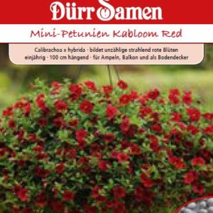 Петуния Каблум (Calibrachoa x hybrida) – червена