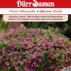 Петуния Каблум (Calibrachoa x hybrida) – розова