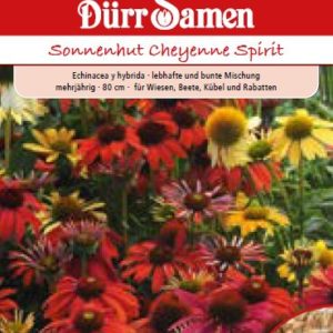 Ехинацея Чейене спирит (Echinacea hybrida)