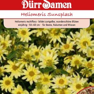 Хелиомерис (Heliomeris multiflora)