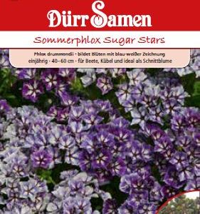 Флокс Захарни звезди (Phlox drummondii)