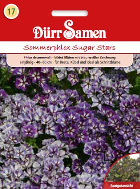 Флокс Захарни звезди (Phlox drummondii)