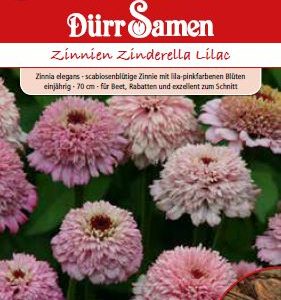 Циния Циндерела (Zinnia elegans)