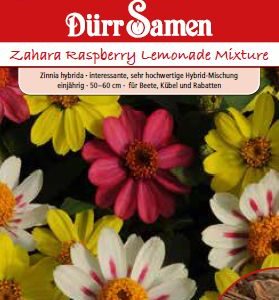 Циния Захара (Zinnia hybrida) – микс