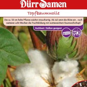 Госипиум (Gossypium herbaceum) – памук