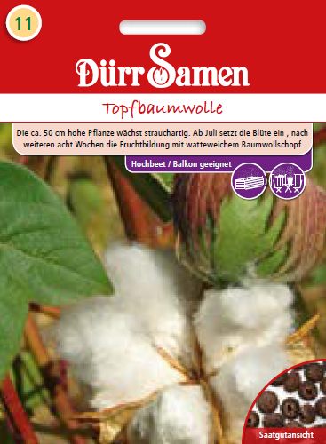 Госипиум (Gossypium herbaceum) – памук
