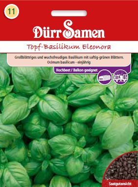 Босилек Елеонора (Ocimum basilicum)