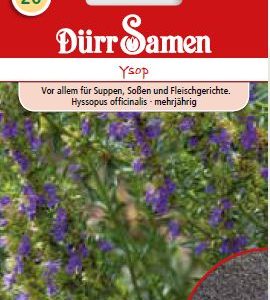 Исоп (Hyssopus officinalis)