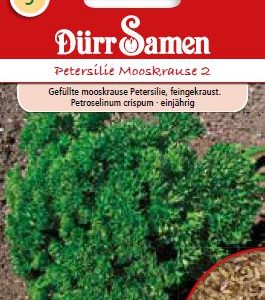 Магданоз Мооскраузе 2 (Petroselinum crispum)