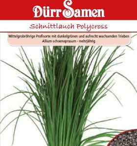 Див лук Поликрос (Allium schoenoprasum)