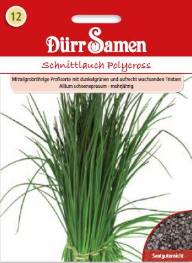 Див лук Поликрос (Allium schoenoprasum)