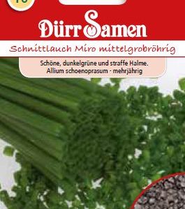 Див лук Миро (Allium schoenoprasum)