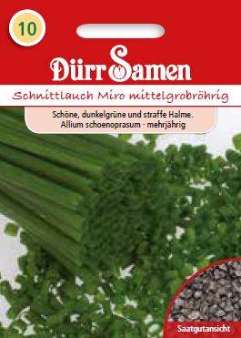 Див лук Миро (Allium schoenoprasum)